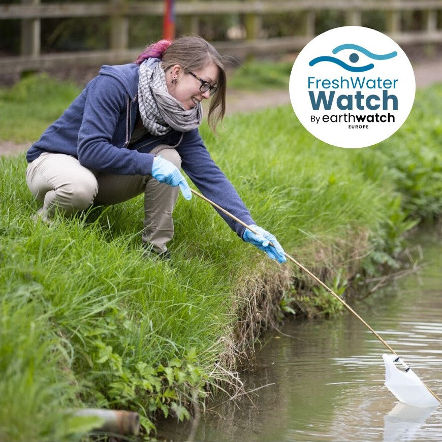 Become a FWW Monthly Monitor