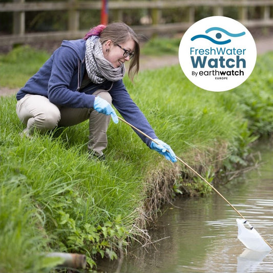 Become a FWW Monthly Monitor