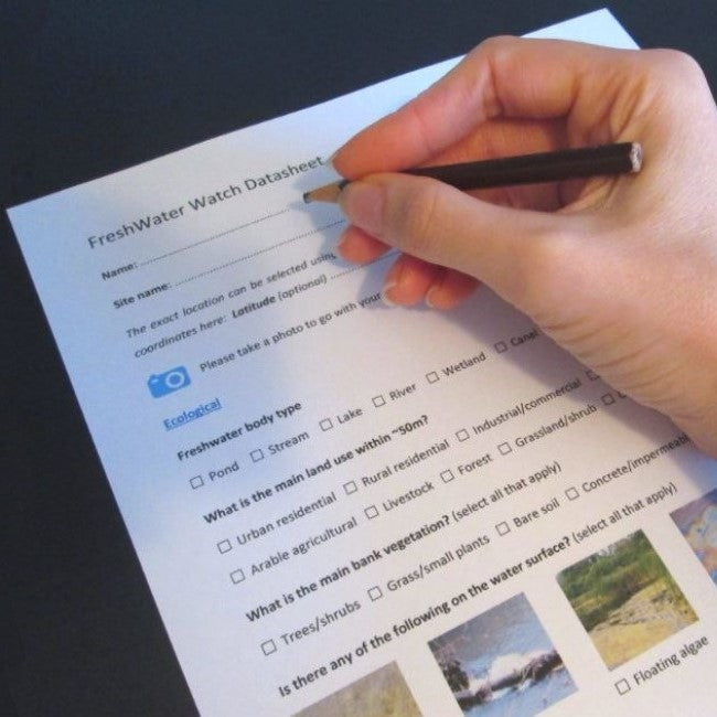 Become a FWW Monthly Monitor