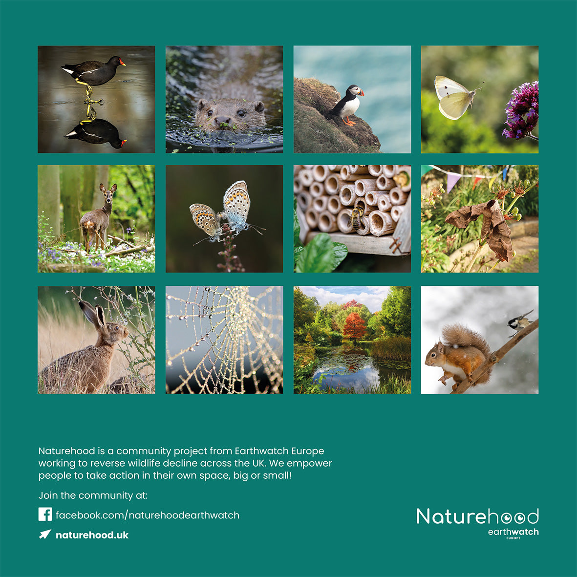 Naturehood 2023 Wildlife Calendar