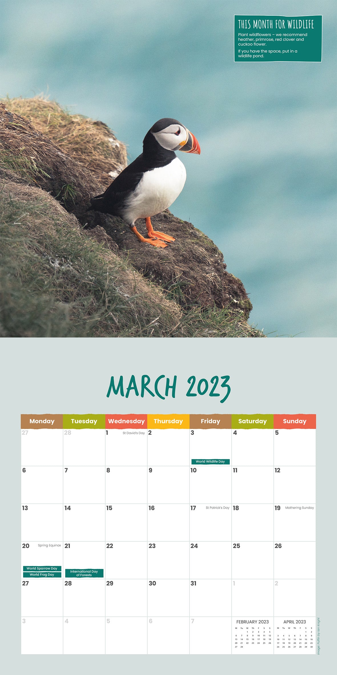 Naturehood 2023 Wildlife Calendar